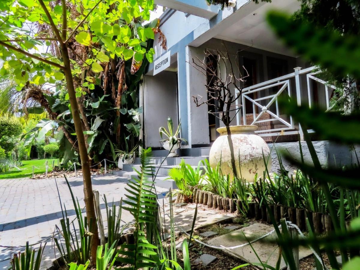 יוהנסבורג Corgi Guest House מראה חיצוני תמונה